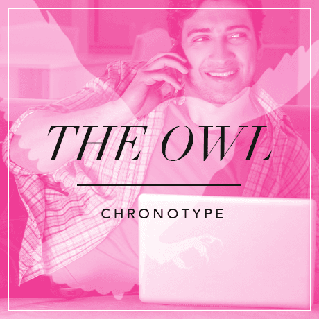 Chronotype Icon 03 - Owl