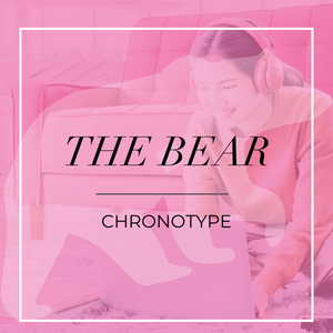 Bear-chronotype.png